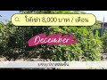 บ้าน เช่า เชียงใหม่ สำหรับครอบครัวที่ชอบธรรมชาติชอบต้นไม้ แต่....เดิน200 เมตร ถึงตลาดสด 7 11 ร้านค้า