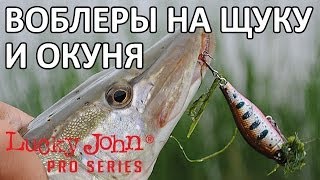 новые воблеры на щуку и окуня. часть 1 - Basara и Haira от Lucky John