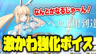 【FGO】水着アルトリアキャスター(CV:川澄綾子) 激かわ強化合成ボイス詰め合わせ