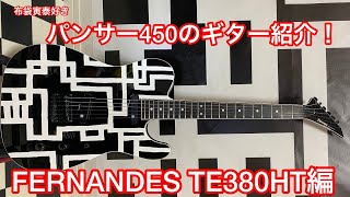 FERNANDES TE380HTを紹介します。