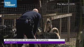 45 dogs found abandoned in Mineola