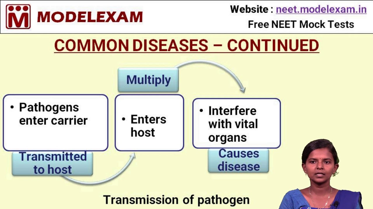 Human Health And Disease | NCERT / NEET Biology | Class 12 - YouTube