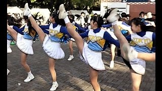 2016 駒場祭  オープニング