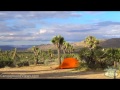 Black Rock Campground Joshua Tree National Park - CampgroundViews.com