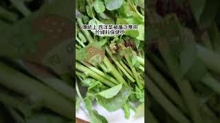 西洋菜（Watercress）- 具調理 婦女月經 作用