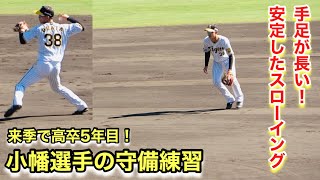 来季で高卒5年目！小幡選手の守備練習！【2022年阪神タイガース安芸秋季キャンプ】