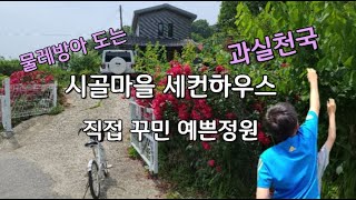 시골마을에 세컨하우스의 로망 /직접 꾸민 물레방아도는 정원과 가족들을 위한 온갖 과실수가 풍성한 예쁜집