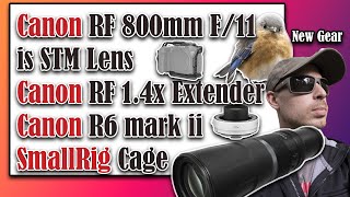 Canon RF 800mm f/11 is STM Lens | Canon R6 mark ii SmallRig Cage | First Impressions Review