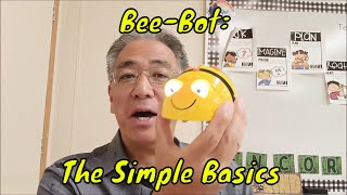 Bee Bot: The Simple Basics