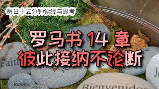 每日十五分钟读经与思考 - 罗马书 14 章 “彼此接纳不论断”