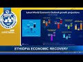 Ethiopia Economic Recovery: IMF Fails To Give Growth Update Data