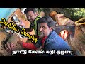 அம்மியில் அரைத்த நாட்டு சேவல் கறி குழம்பு | Grinding stone's Grinded Country Rooster Curry