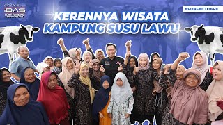 Kerennya Wisata Kampung Susu Lawu