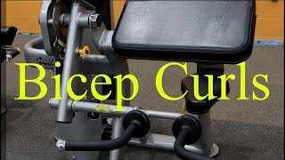 Hoist Machine - Bicep Curls