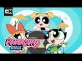 What's Your POWFACTOR? | Powerpuff Girls | Cartoon Network