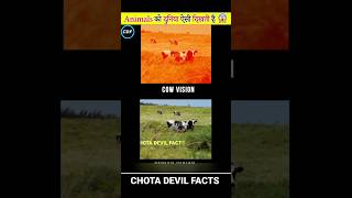 Animals को दुनिया ऐसी दिखती है👆|How Animals See The World #shorts #facts