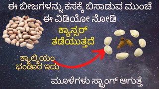 ಈ ಬೀಜಗಳನ್ನು ಬಿಸಾಡುವ ಬದಲು ಇದನ್ನು ಹೀಗೆ ಬಳಸಿ ನೋಡಿ| ಕಣ್ಣು| ಮೂಳೆ|ನೆರಿಗೆ|ಸುಕ್ಕು ಕಡಿಮೆ ಆಗುತ್ತೆ|