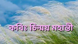 poem । ।  Bengali poem । । সব চোখ সব সৌন্দর্য দেখে না- চিন্ময় মহান্তী । । Bangla kobita, বাংলা কবিতা