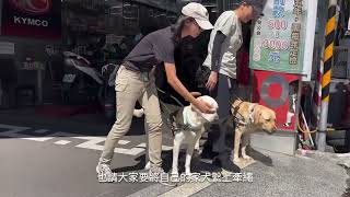 【導盲犬上課趣 Ep.69】導盲犬專業訓練中！Quill和Ray團體訓練