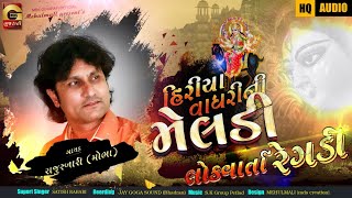 Raju Rabari | હિરીયા વાઘરીની મેલડી | મેલડીમાંની લોકવાર્તા | રેગડી | Regdi | MDS Gujarati Official