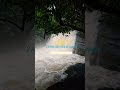 hidden waterfalls in poonjar kottayam peruvanchanakkayam u0026 adivaram waterfalls chattambi waterfalls