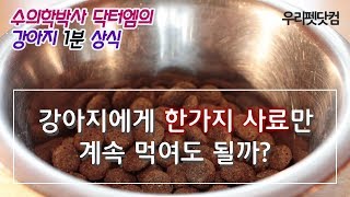 [강아지 사료 고르기] 강아지에게 한가지 사료로 평생 먹여도 되나요?