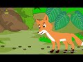 বুদ্ধিমান ছাগল ও বোকা বাঘ boka siyal o buddyman sagol fox cartoon bangla bengali fairy tales