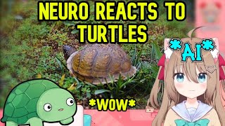 Neuro [AI] Reacts To Turtles *wow*