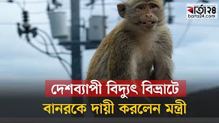 দেশব্যাপী বিদ্যুৎ বিভ্রাটে বানরকে দায়ী করলেন মন্ত্রী | Sri Lanka | Barta24