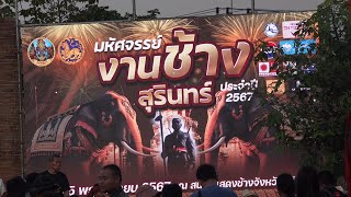 งานช้างสุรินทร์ปี 2567 เตรียมความพร้อมชมสุดอลังการรับลมหนาว