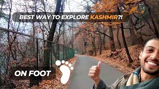 I Explore Kashmir ON FOOT 🦶 | Srinagar - PART 3 | Vlog 23