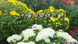 ♬ 들국화 여인 ~ 김용임 .  이민숙 .  주현미.   이진아 .  오은주. 흥겨운 경음악  전자올겐 연주 ♬ HD