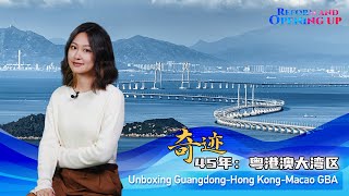 Unboxing China: The evolution of Guangdong-Hong Kong-Macao Greater Bay Area