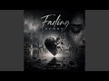 Fading Echos