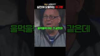 삼진에 오열하는 야구팬