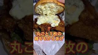 【からやま】思ってた２倍のデカさ！合盛りバーガー食べてみた