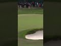 Tiger woods amazing shot!