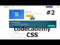 2 - Learn CSS: Visual Rules + The Box Model - Codecademy