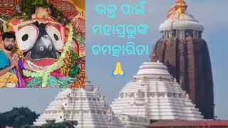 ##ଦେଖନ୍ତୁ ମହାପ୍ରଭୁ ଜଗନ୍ନାଥଙ୍କ ଚମତ୍କାରିତା//ବାବା କାଶୀ ବିଶ୍ଵନାଥଙ୍କ ଆବିର୍ଭାବ//ଛୋଟିଆ ଗପଟିଏ ##