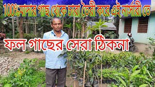 দেশি ও বিদেশি ফলগাছের নার্সারী।100%মাদার গাছ থেকে চারা তৈরি হয় । নীর ভযে গাছ কিনুন।