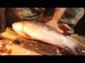 Rohu Fish Chinese Style Cutting Live In The Fish Market । Amazing Fish Cutting Techniques