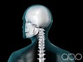 neck movement 3d medical animation abp ©