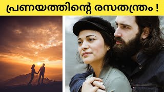 The Chemistry Behind Love and Romance | Love Story | Love Hormones | Lovers | Marriage | Couples