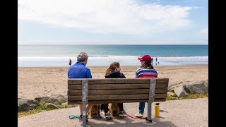 Things To Do in Cayucos: Picnic in Paradise