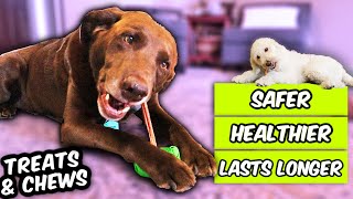 5 BEST DOG CHEWS MONEY CAN BUY 😍 Healthiest Dog Treats & Chews I've found for my dogs!