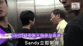 Sandy疑帶惠天賜骨灰返港