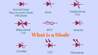 What is a Diode Interactive! Next Electronics Basics 6