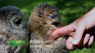 ช่องสารคดี | Highlight ช่อง 56 Animal Show เดือนมกราคม 2565 เวลา 1 ทุ่มตรง ที่ Good TV