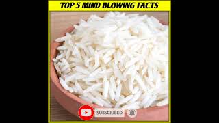 5 Interesting Facts In Hindi|5 Amazing Facts|#randomfacts #short #factsinhindi | FACT BIMARI
