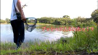 【カヨイボーズ】駕与丁公園 2020/08/09　雷魚